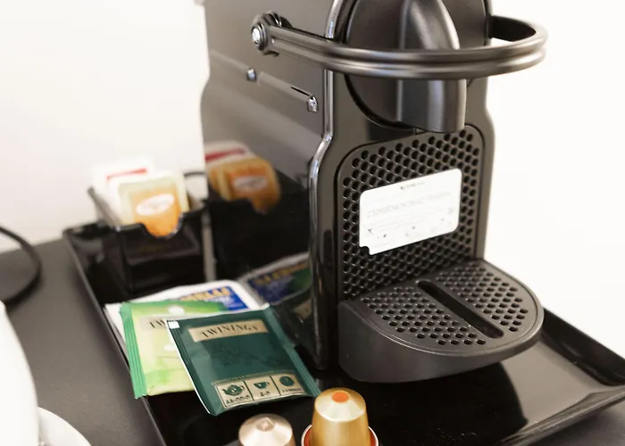 Domus Vitra בית הארחה רומא