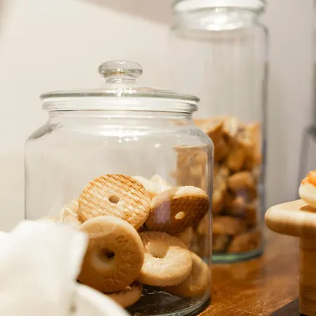 Domus Vitra روما